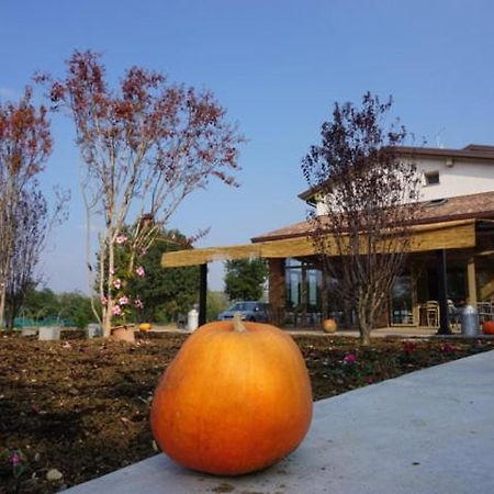 Carpaneto Piacentino Agriturismo Campogrande מראה חיצוני תמונה